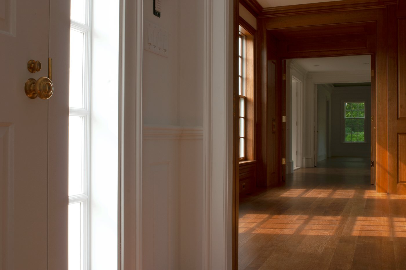 CRW_0215.png