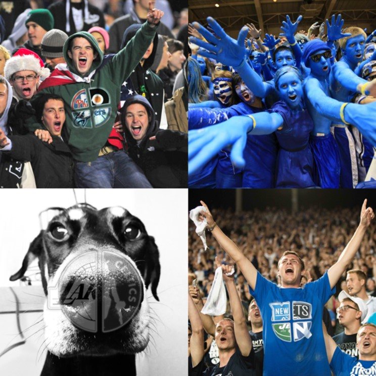 TAGDOGS - 7.jpg